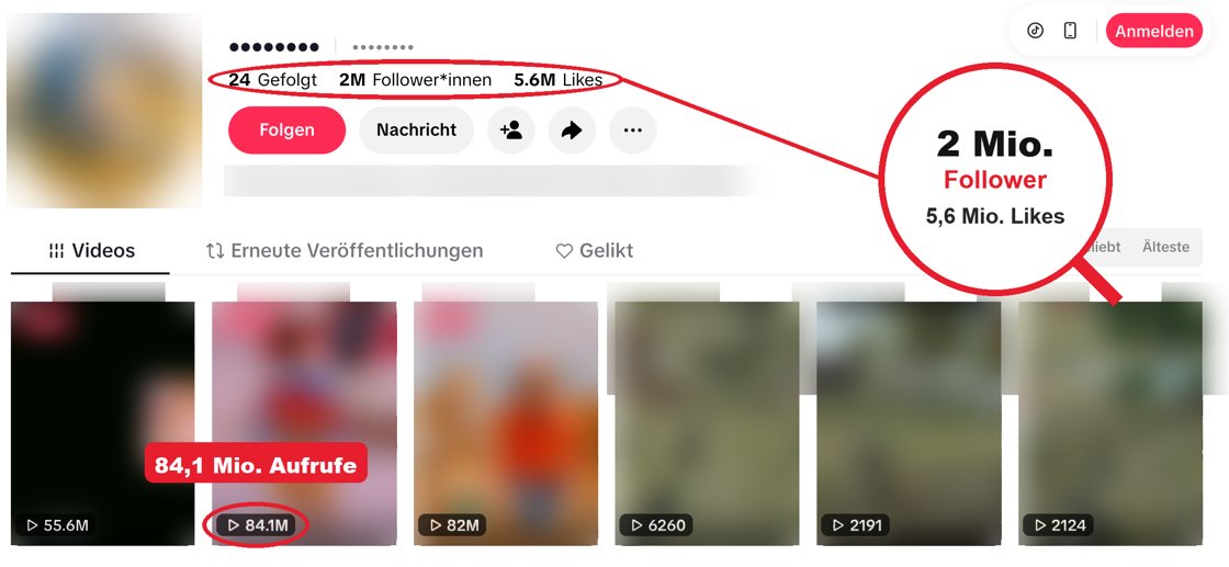 TikTok-Cartoon-Kanal, Name unkenntlich