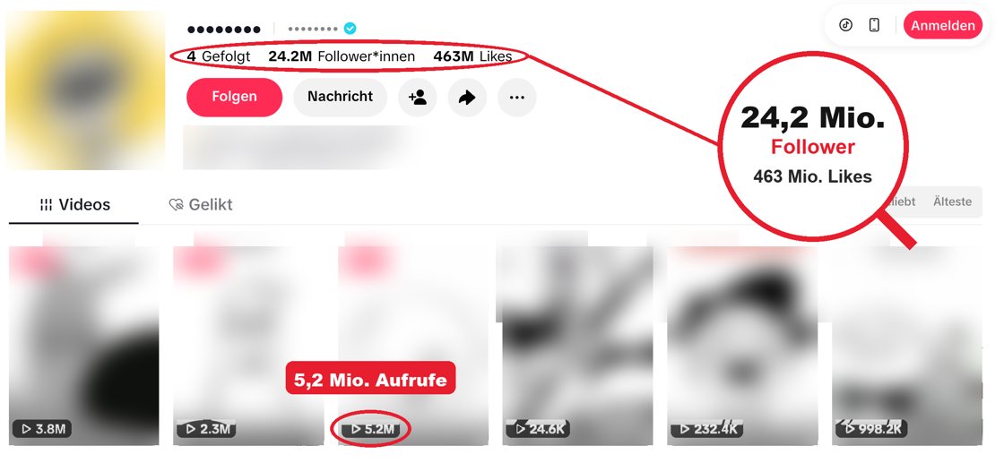 TikTok-Cartoon-Kanal, Name unkenntlich
