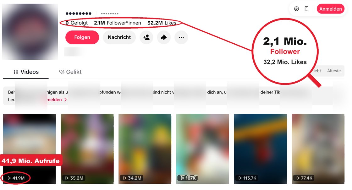 TikTok-Cartoon-Kanal, Name unkenntlich