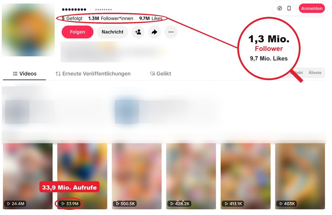 TikTok-Cartoon-Kanal, Name unkenntlich