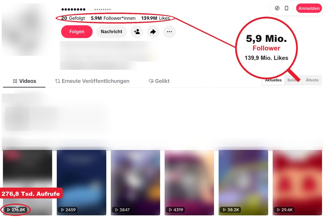 TikTok-Cartoon-Kanal, Name unkenntlich